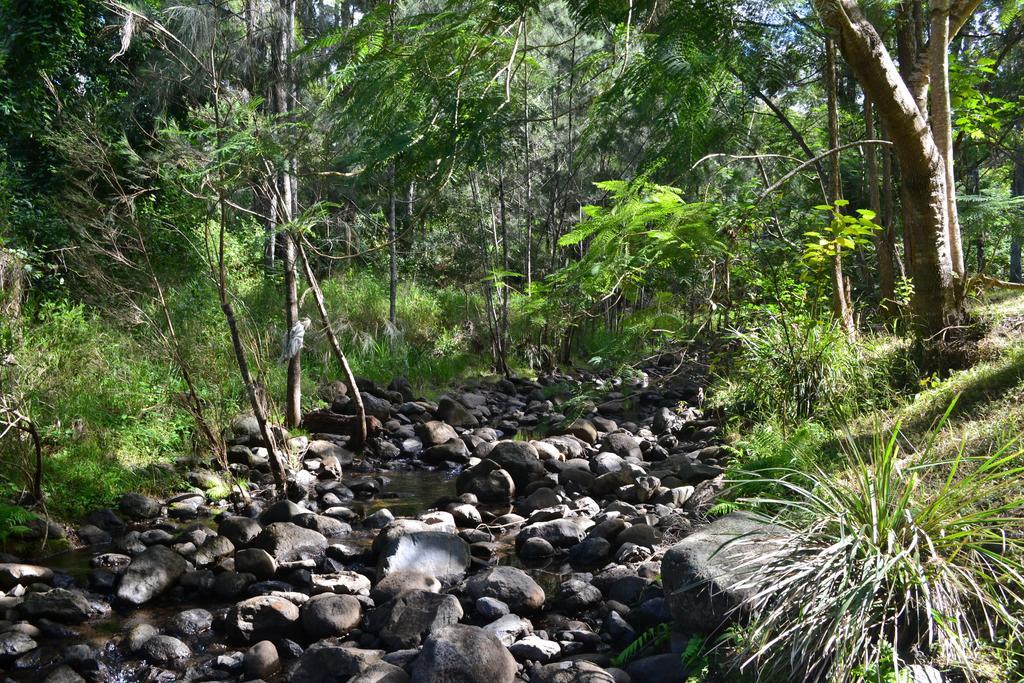 Tuckers Retreat Hotell Canungra Exteriör bild