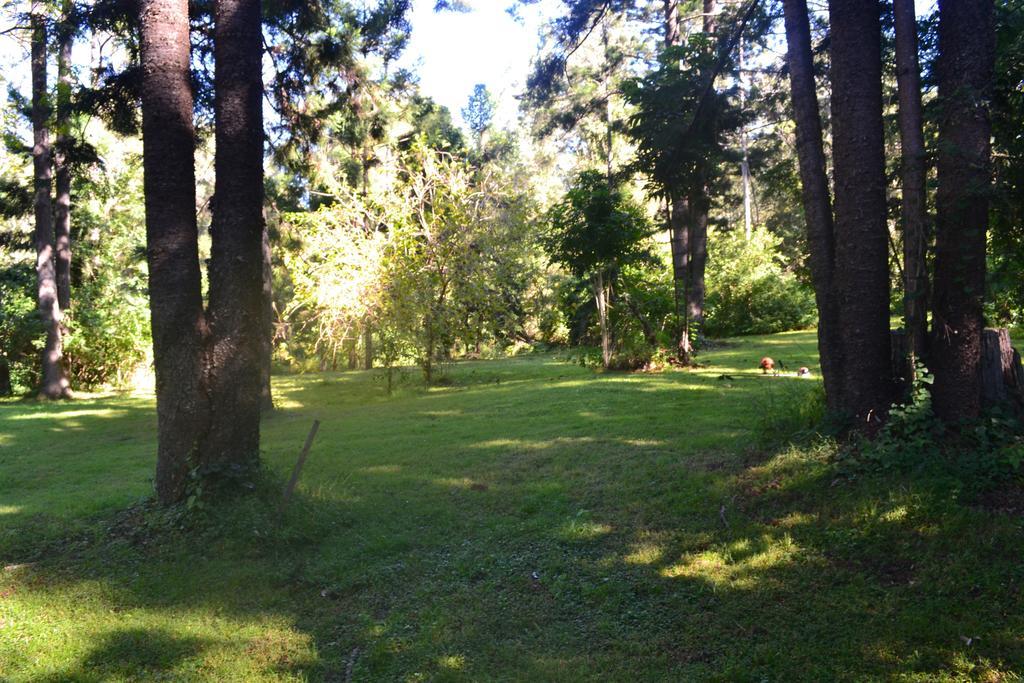 Tuckers Retreat Hotell Canungra Exteriör bild