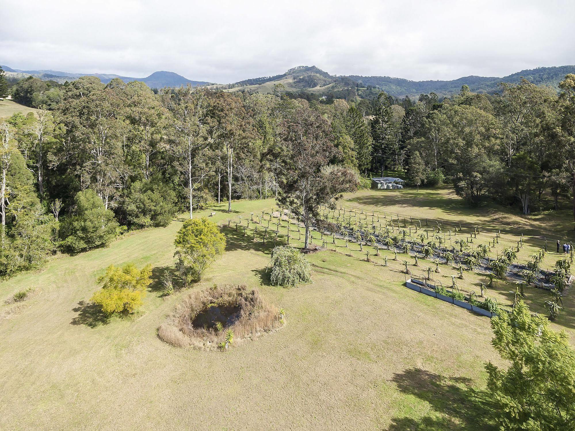 Tuckers Retreat Hotell Canungra Exteriör bild