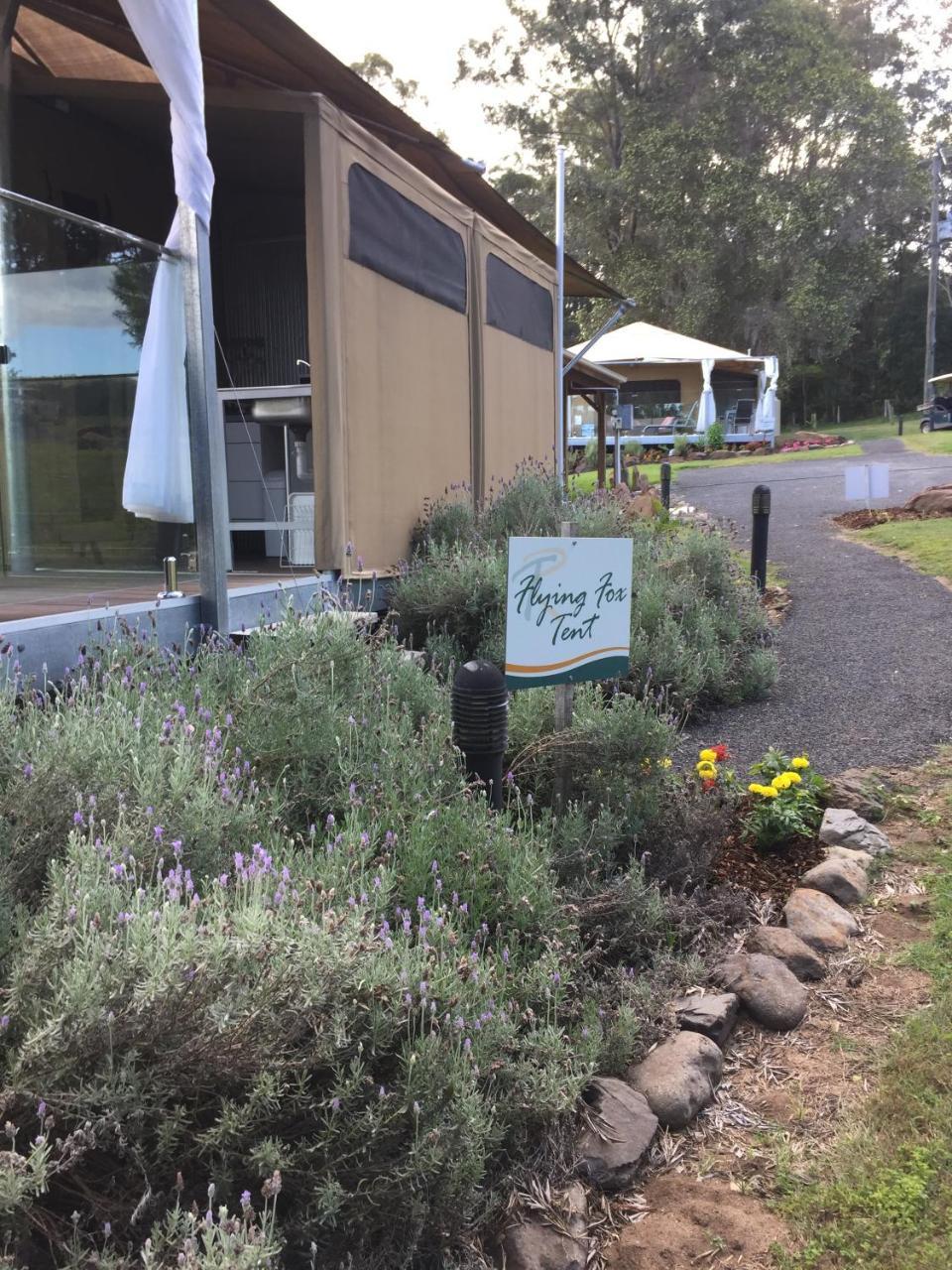 Tuckers Retreat Hotell Canungra Exteriör bild